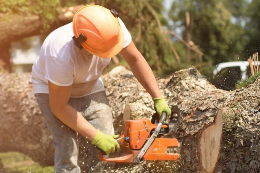 GreenLeaf Services: Emergency Tree Care, Snow Removal, Landscaping & More