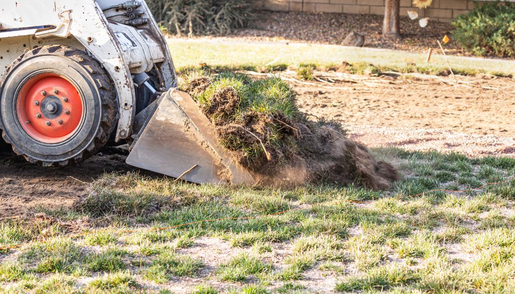 stump removal new york stump removal new york