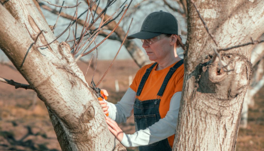 tree pruning near me