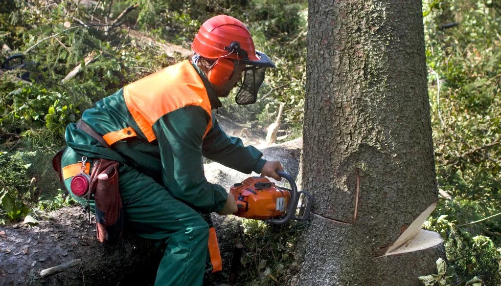 reliable tree cutting