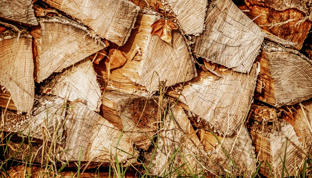 how to tell if your wood is dry how to tell if your wood is dry