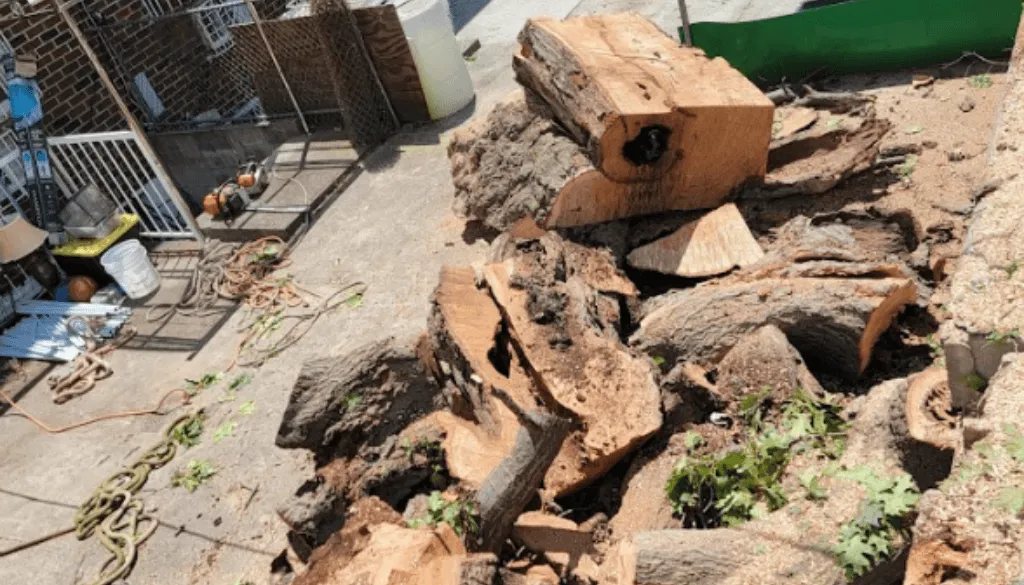 Dry Firewood Storage