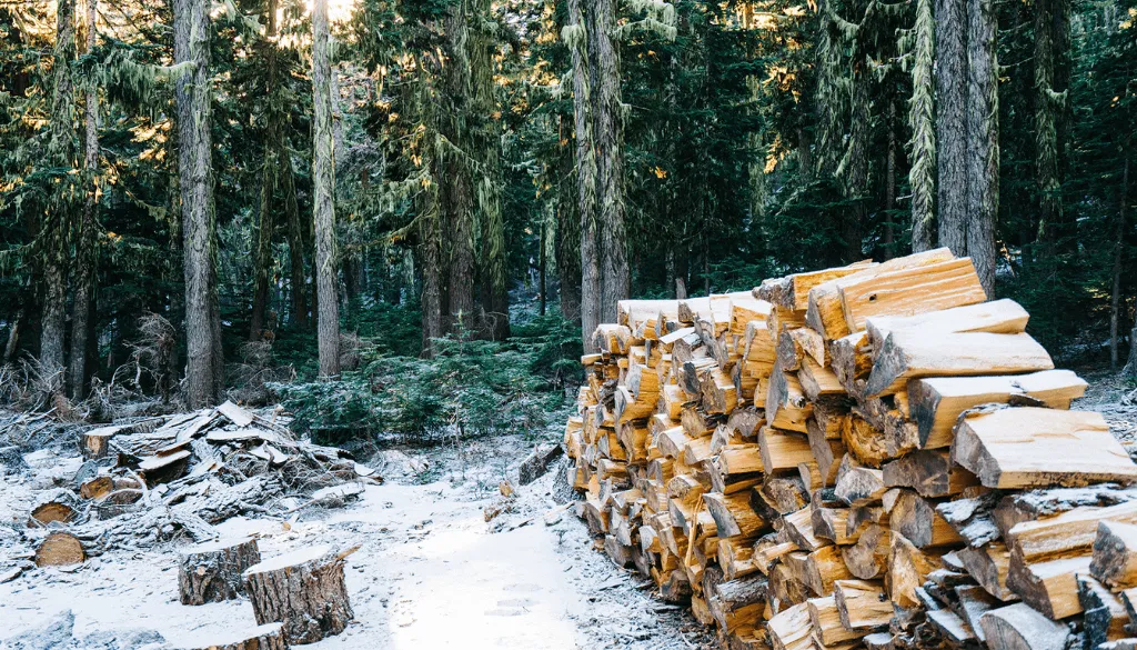 Testing For Dry Firewood