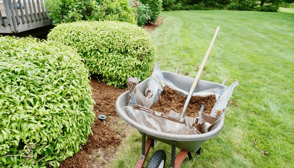 easy ways for natural mulch for your garden