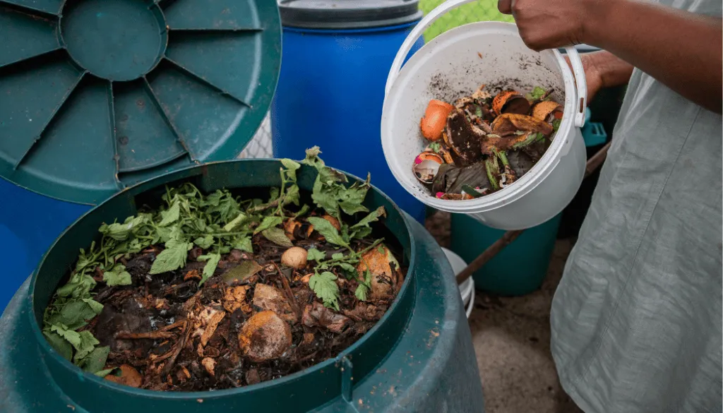tips for composting tree leaves and branches