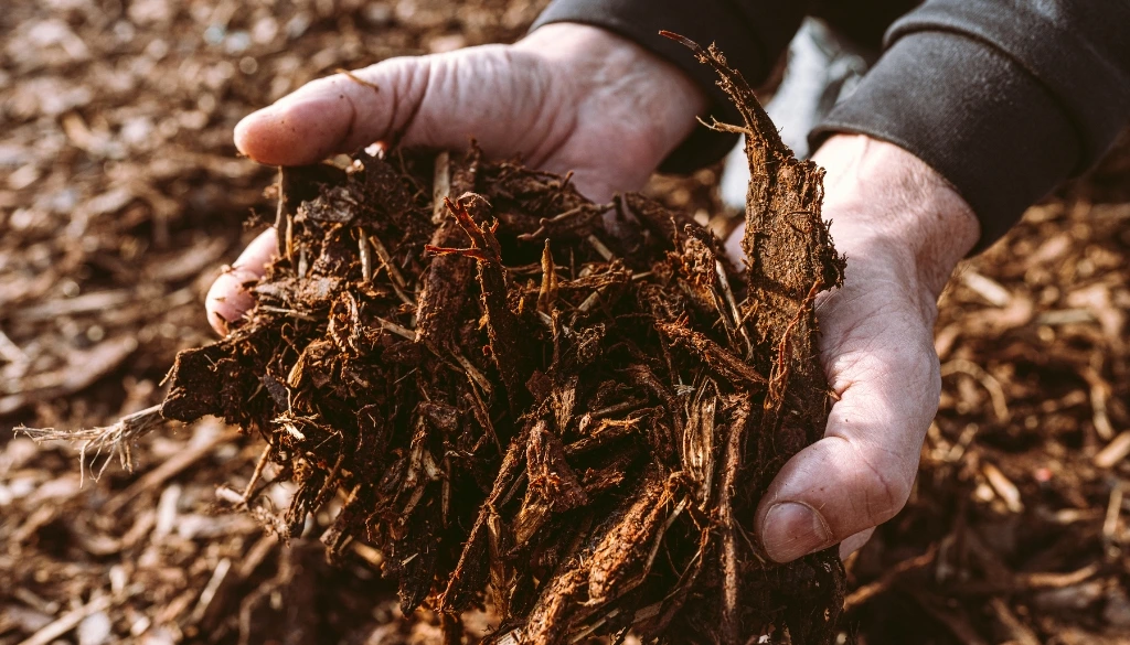tree trimmings recycled into mulch tree trimmings recycled into mulch