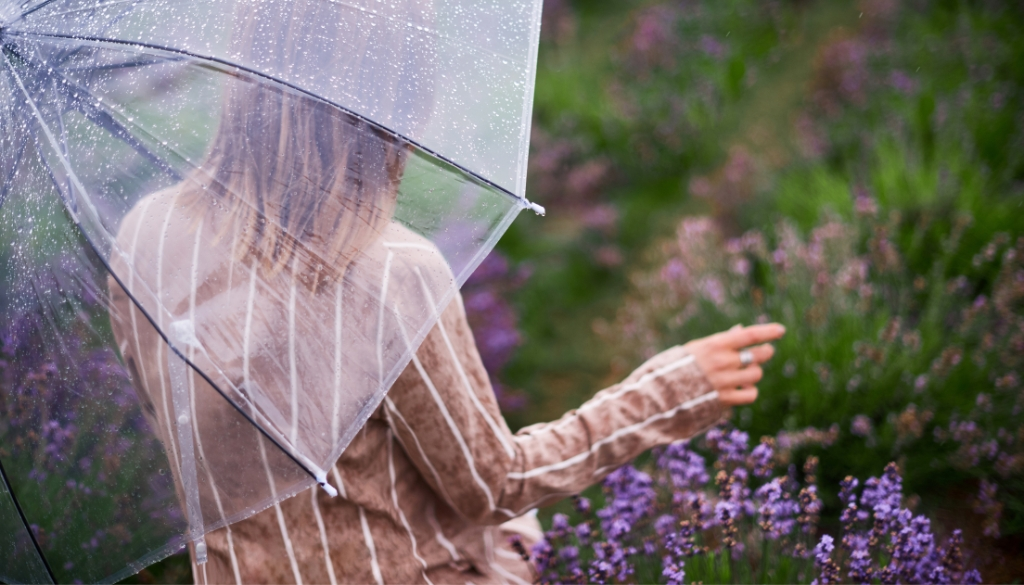 waterlogging in backyard garden waterlogging in backyard garden