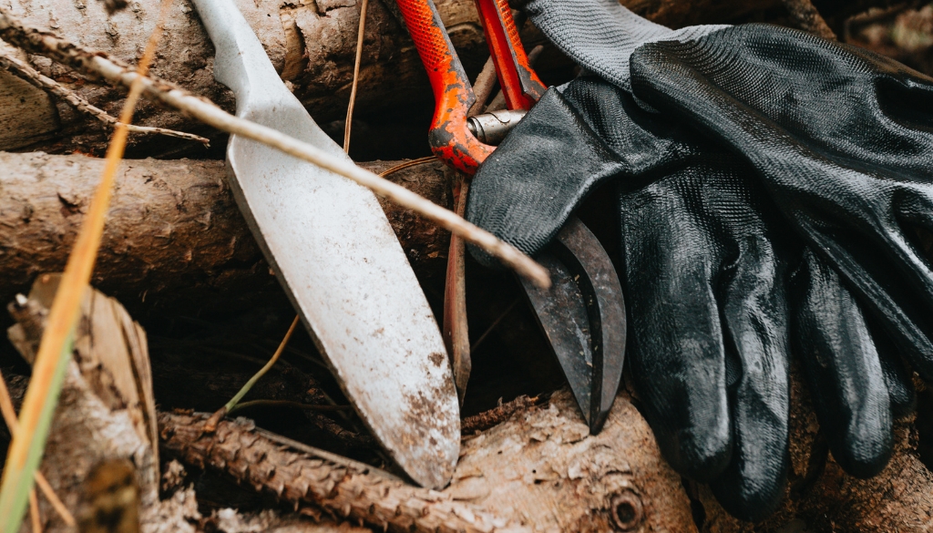 disinfecting tree removal tools