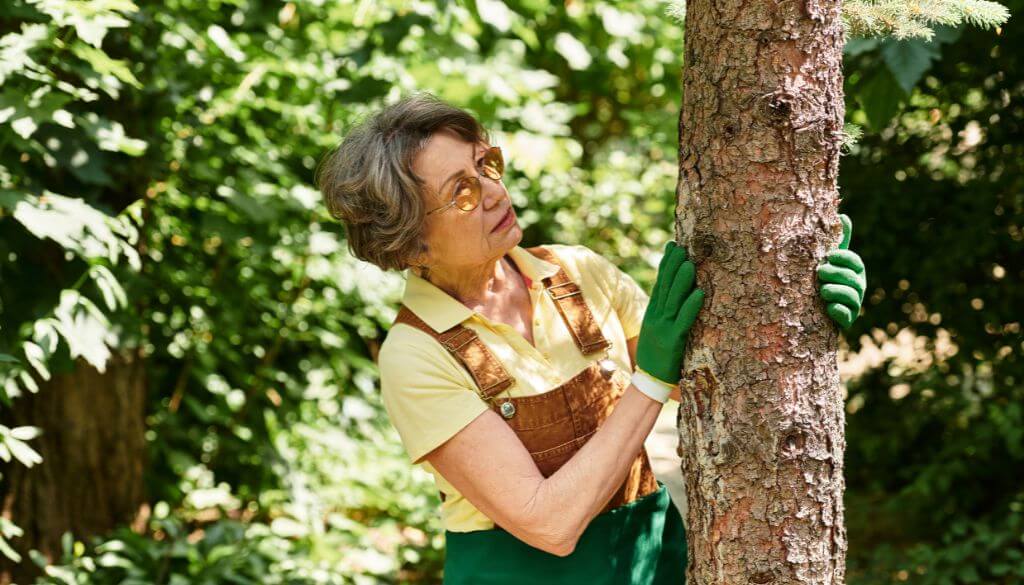 preventing my tree bark from cracking