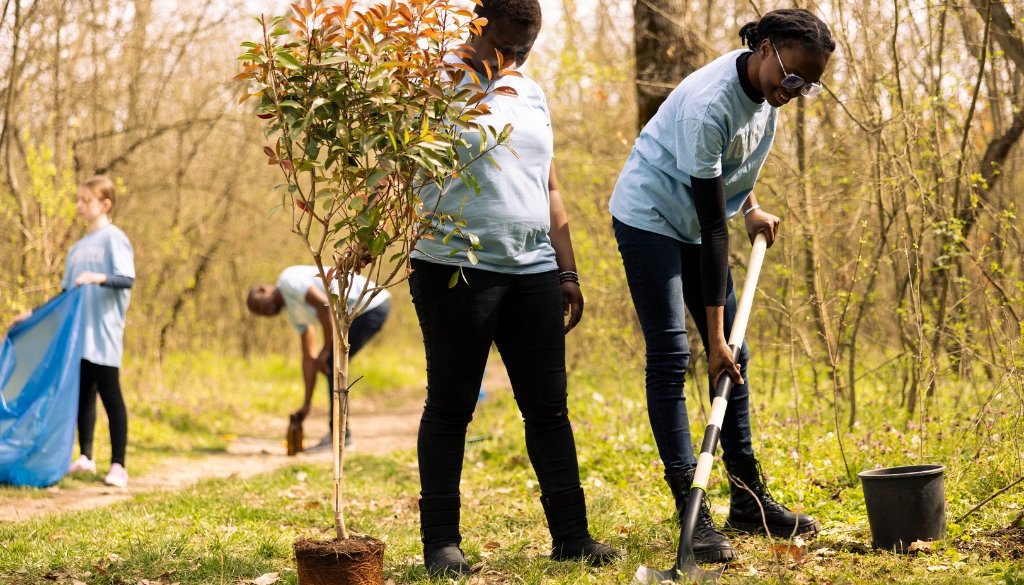 young tree removal