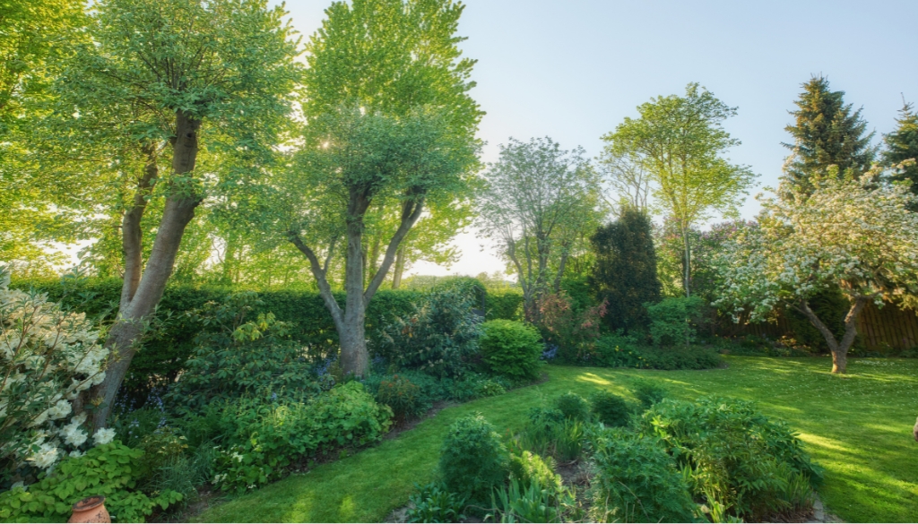 nyc trees prone to tree scale nyc trees prone to tree scale
