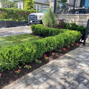 Beautifully landscaped yard featuring a brick walkway and neatly trimmed shrubs