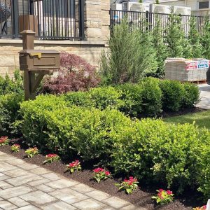 Brick walkway lined with flowers leads to a mailbox