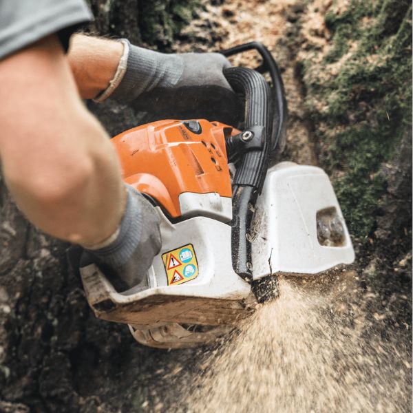 emergency tree services