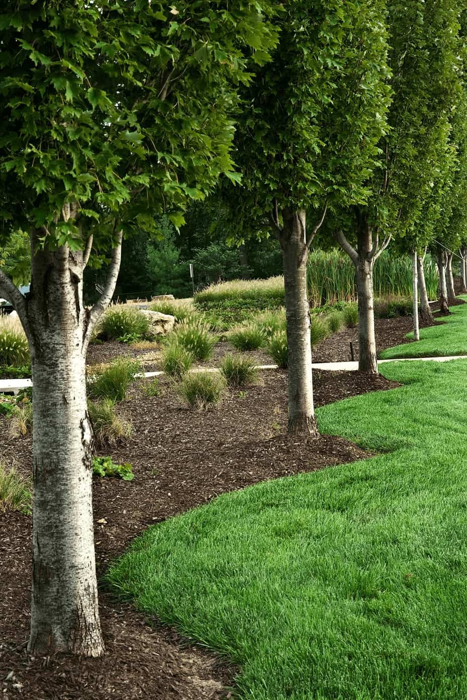 landscape services in New York