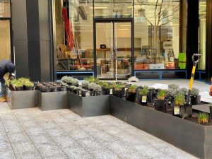 Man carefully tending to a planter outside a store