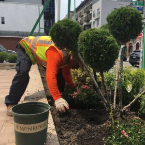 Man in a yellow vest planting a tree