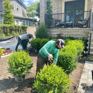 Two men working on landscaping in a yard