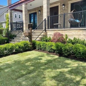 Well-maintained front yard featuring a lush green lawn and neatly trimmed shrubs