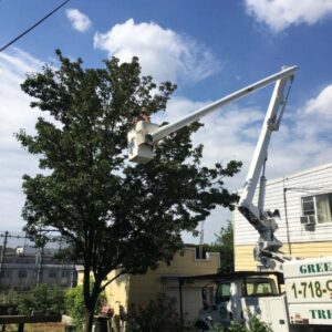 xr:d:DAF5ikZTxNo:10,j:5917019204945319307,t:24011121