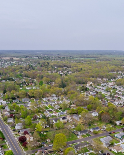 nassau county tree removal