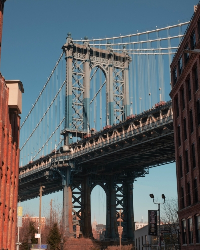 tree removal brooklyn