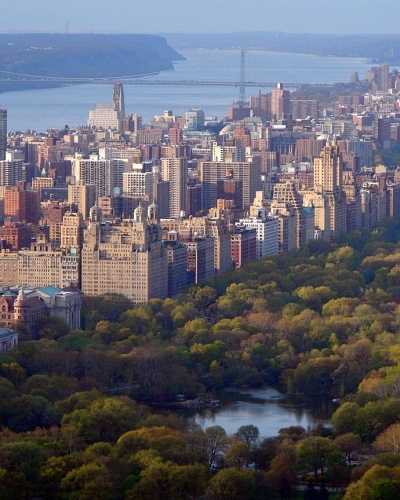 tree removal manhattan