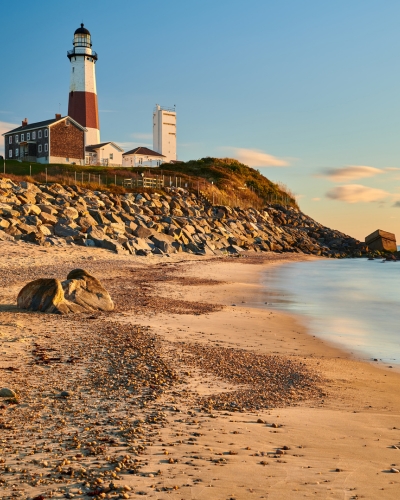 tree removal suffolk county