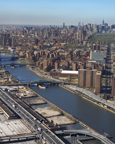 tree removal the bronx