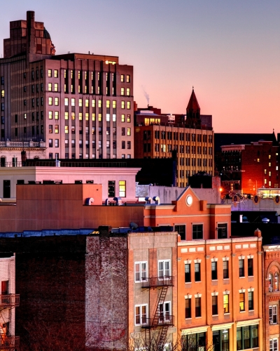 yonkers tree removal