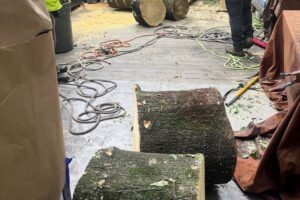 backyard stump removal services