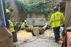 large stump removal near me