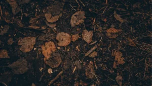 composting tree leaves and branches