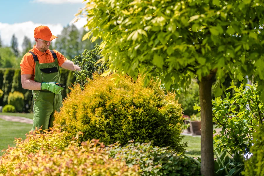 tree trimmers westchester