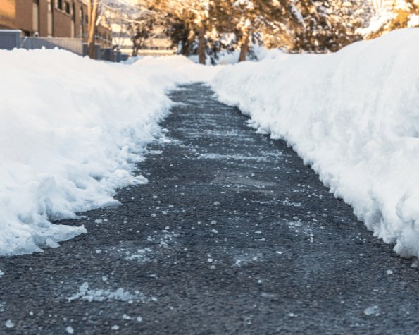 does road salt hurt trees