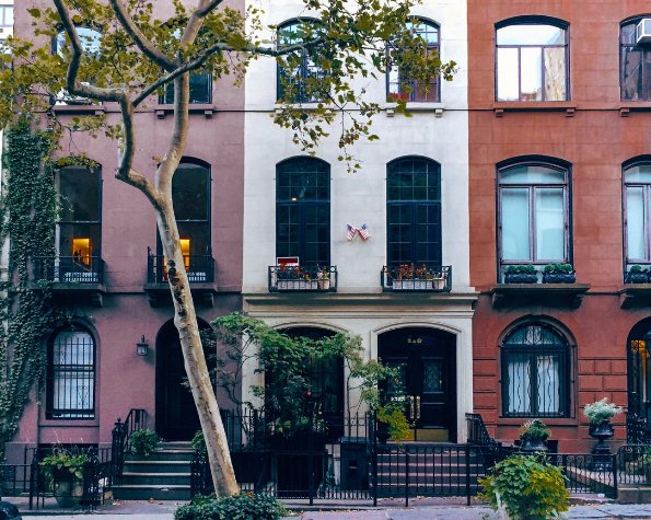 leaning tree near home nyc