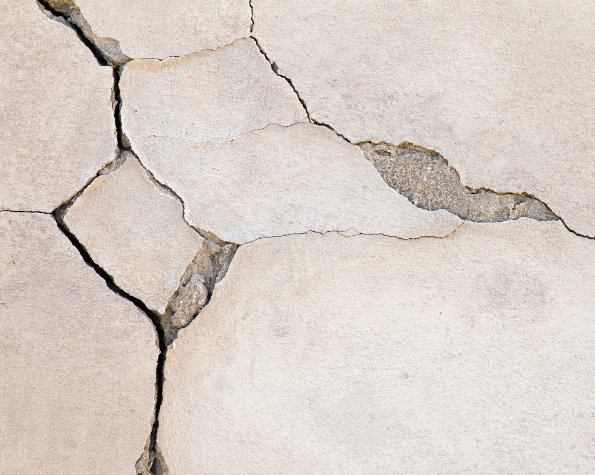 tree cracked my pavement