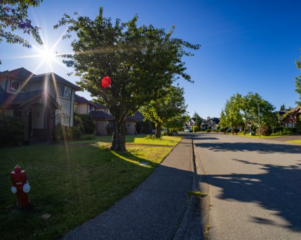 how far away should a tree be from my house