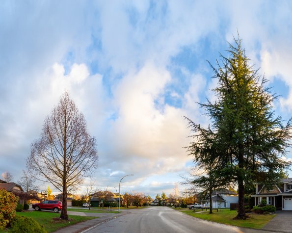 how to know a tree is too close to home