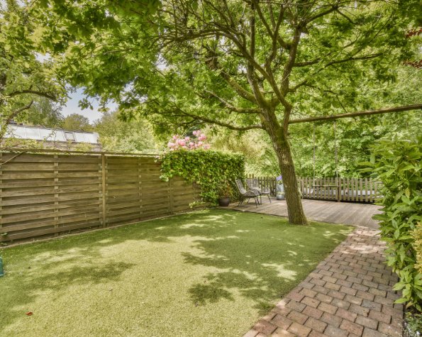tree too close to fence