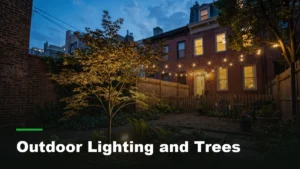 Landscape uplight glowing beneath a young tree in a New York City backyard at dusk
